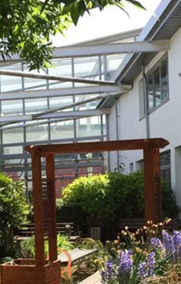 Lush garden courtyard at John Wheatley College featuring flowers, shrubs, and a wooden pergola under a glass canopy. Lush garden courtyard at John Wheatley College featuring flowers, shrubs, and a wooden pergola under a glass canopy.
